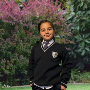 SUETER M/L SANTA MARTA